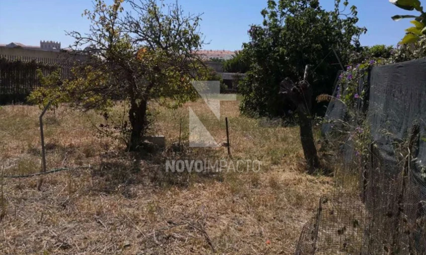 Terreno para Venda em Ajuda Foto 6