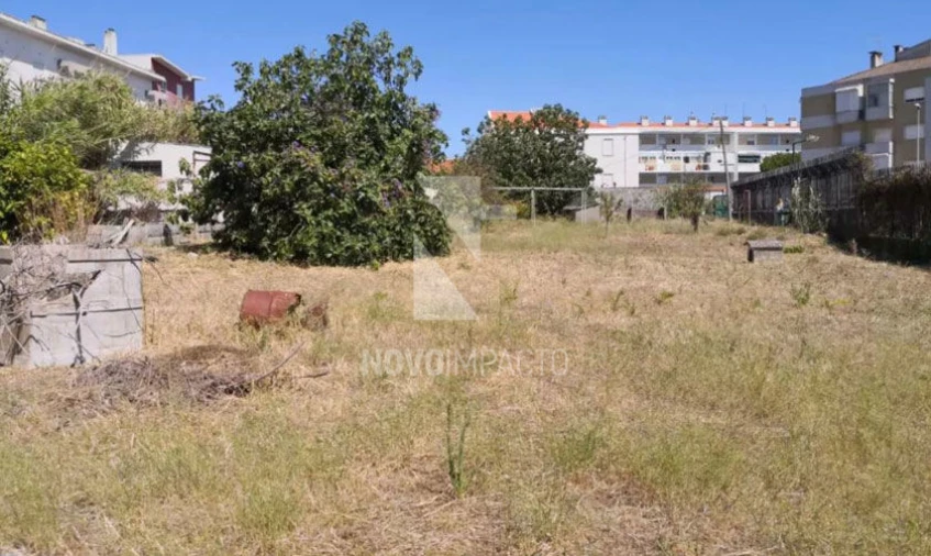 Terreno para Venda em Ajuda Foto 3