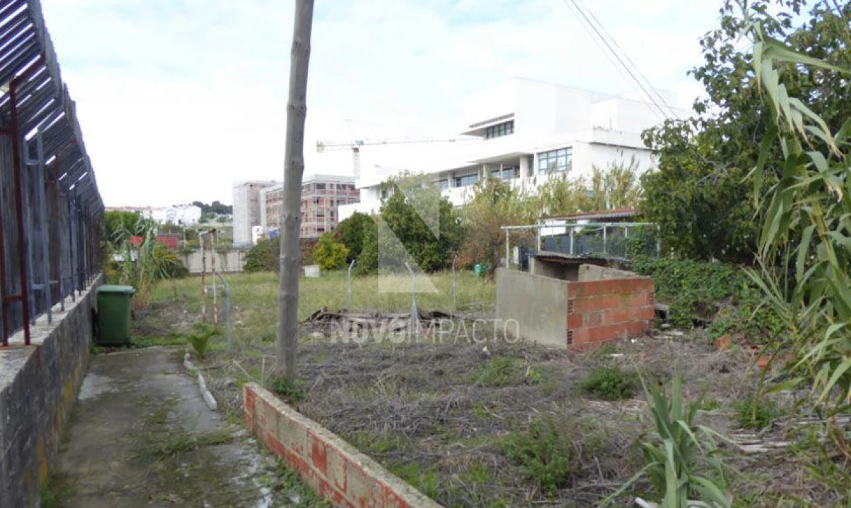 Terreno para Venda em Ajuda Foto 8