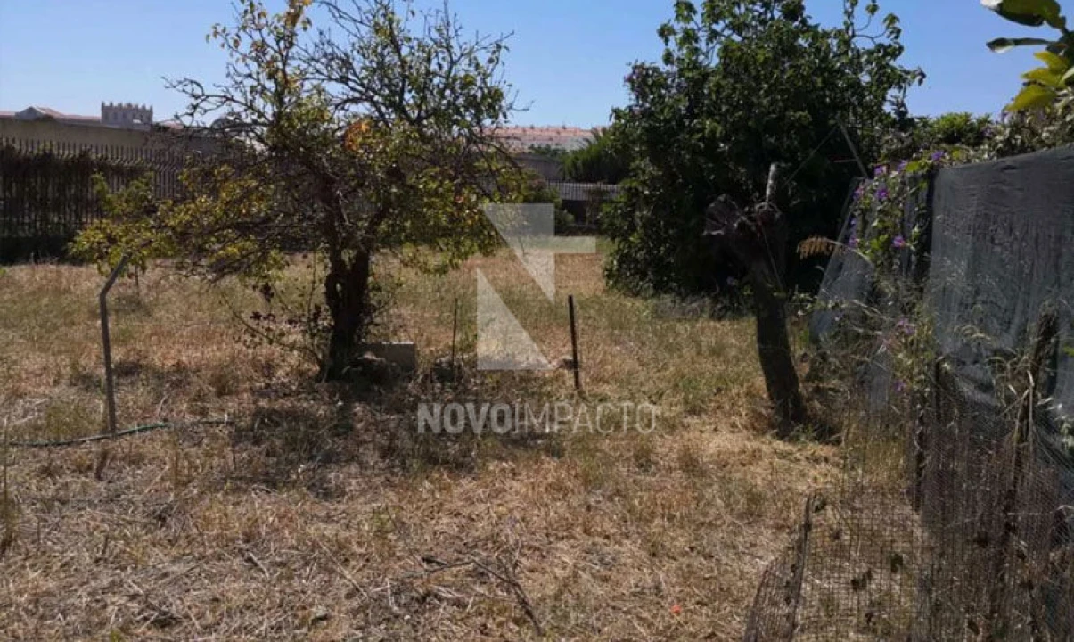 Terreno para Venda em Ajuda Foto 6