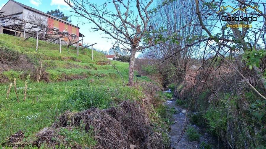 Moradia T3 para Venda em Oleiros-Amieira Foto 10