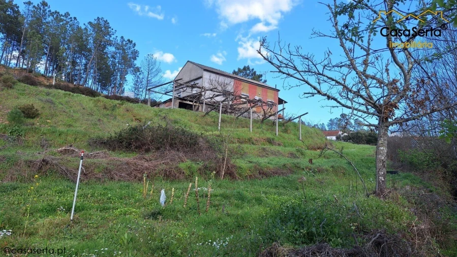 Moradia T3 para Venda em Oleiros-Amieira Foto 11