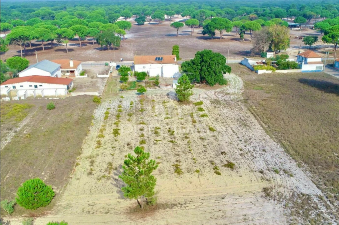 Moradia T5 para Venda em Torrão Foto 1