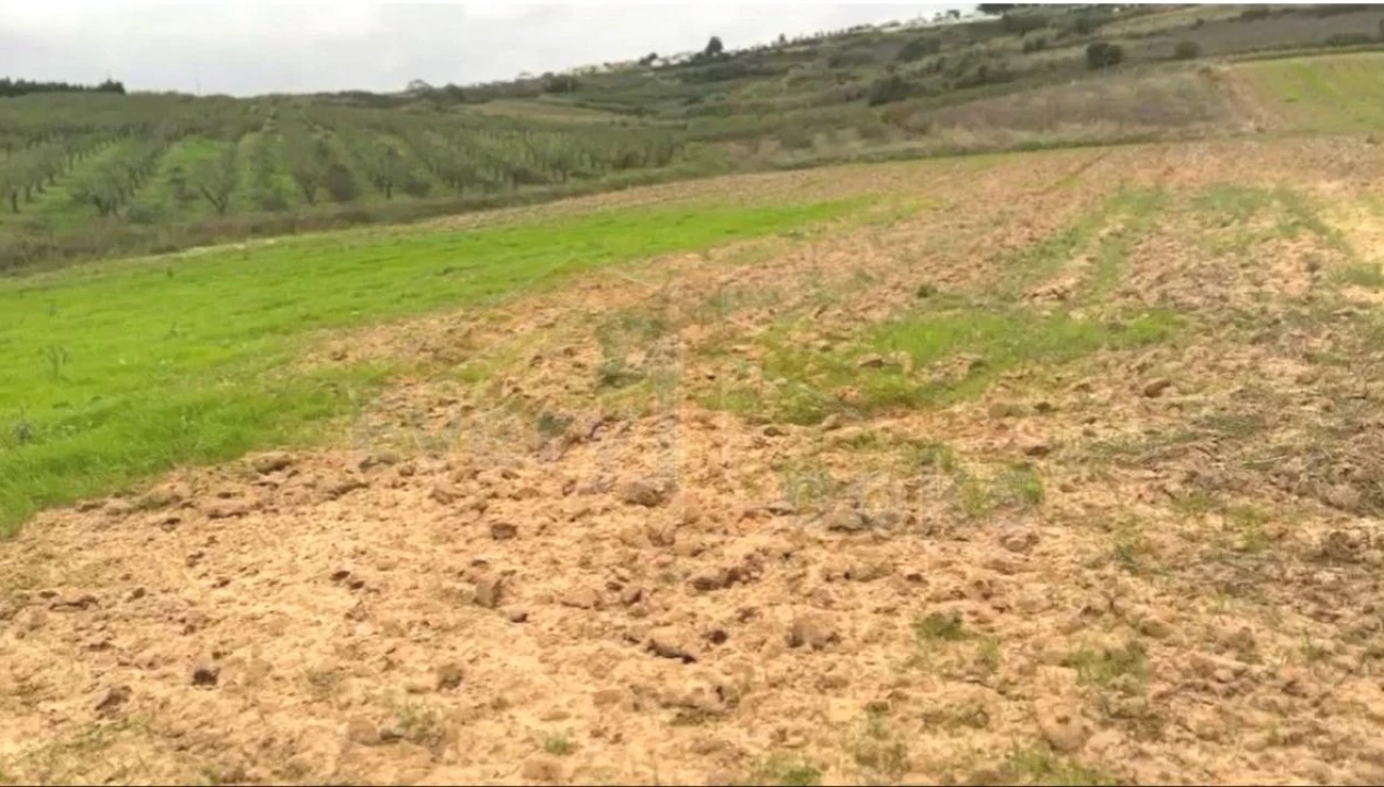 Terreno para Venda em Santa Maria, São Pedro e Sobral da Lagoa Foto 1