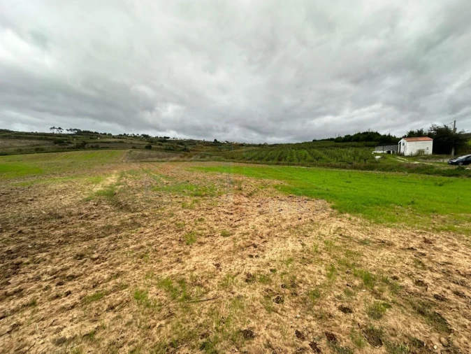 Terreno para Venda em Santa Maria, São Pedro e Sobral da Lagoa Foto 3