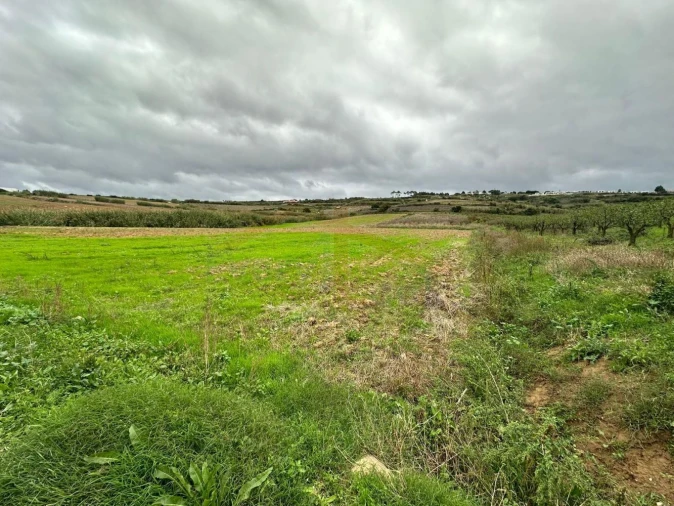 Terreno para Venda em Santa Maria, São Pedro e Sobral da Lagoa Foto 4