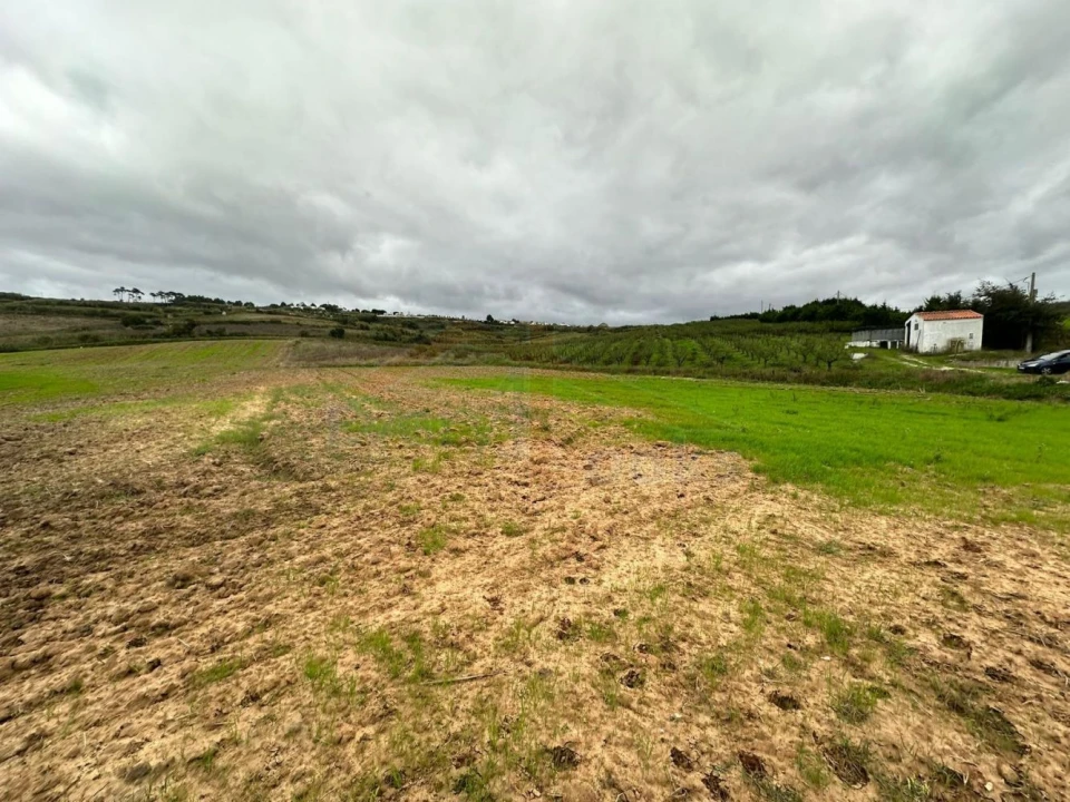 Terreno para Venda em Santa Maria, São Pedro e Sobral da Lagoa Foto 3