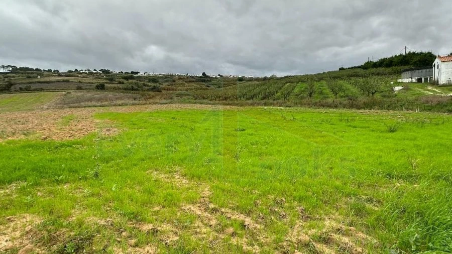 Terreno para Venda em Santa Maria, São Pedro e Sobral da Lagoa