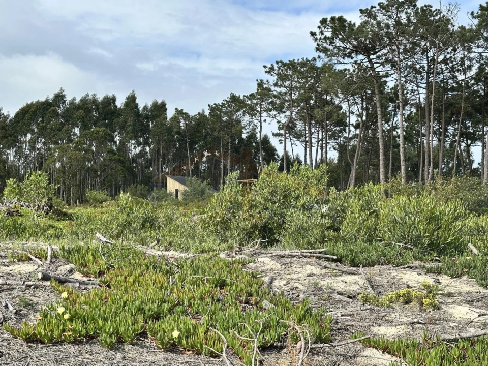Terreno para Venda em Atouguia da Baleia Foto 21