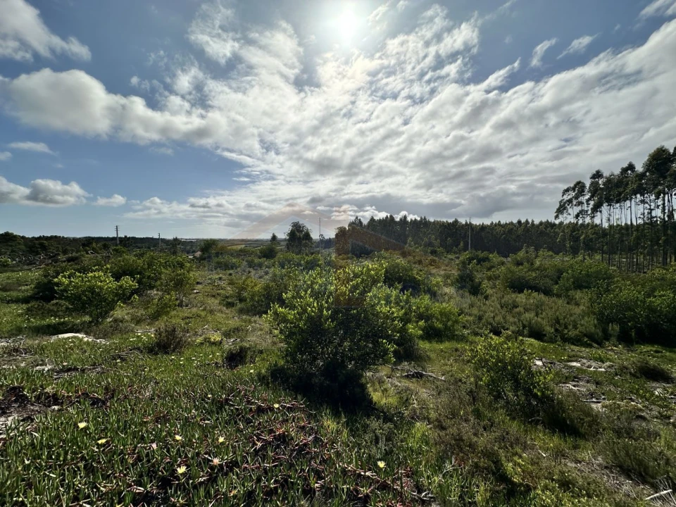 Terreno para Venda em Atouguia da Baleia Foto 11