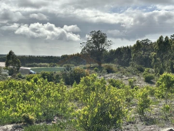 Terreno para Venda em Atouguia da Baleia