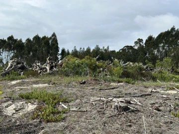 Terreno para Venda em Atouguia da Baleia