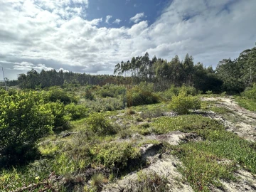 Terreno para Venda em Atouguia da Baleia