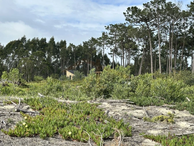 Terreno para Venda em Atouguia da Baleia Foto 21