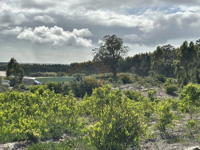 Terreno para Venda em Atouguia da Baleia Foto 18
