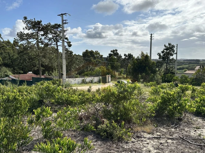 Terreno para Venda em Atouguia da Baleia Foto 16