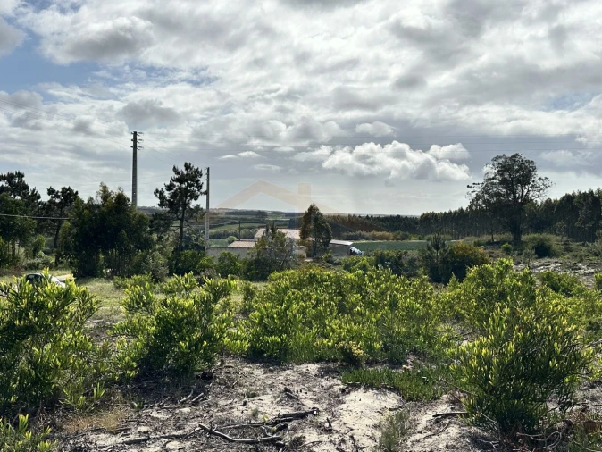 Terreno para Venda em Atouguia da Baleia Foto 17