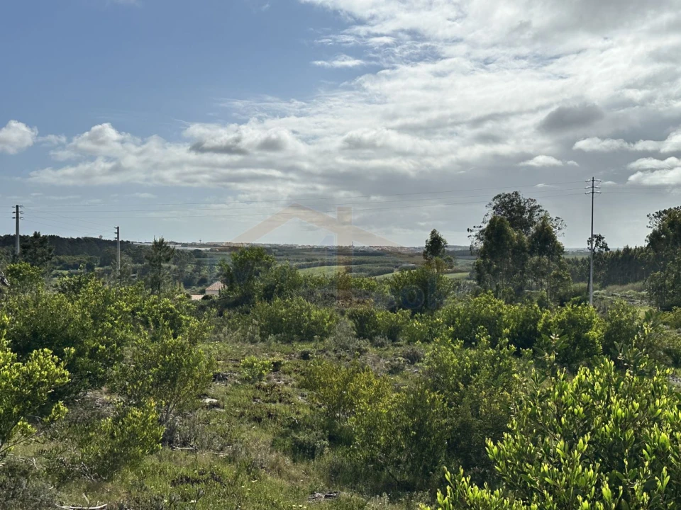 Terreno para Venda em Atouguia da Baleia Foto 12