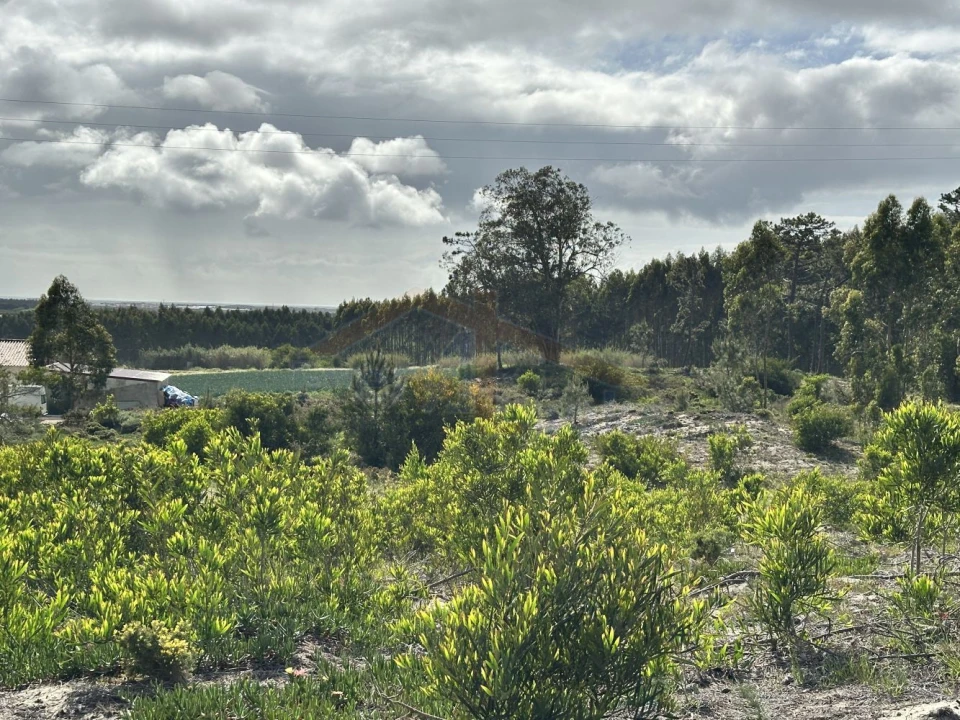 Terreno para Venda em Atouguia da Baleia Foto 18