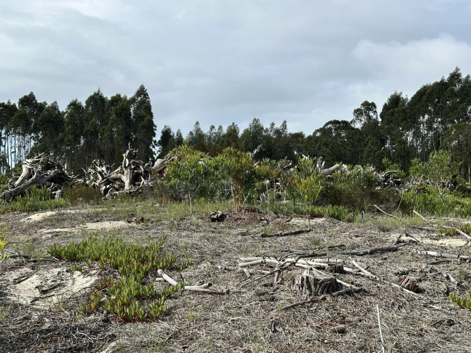 Terreno para Venda em Atouguia da Baleia Foto 20