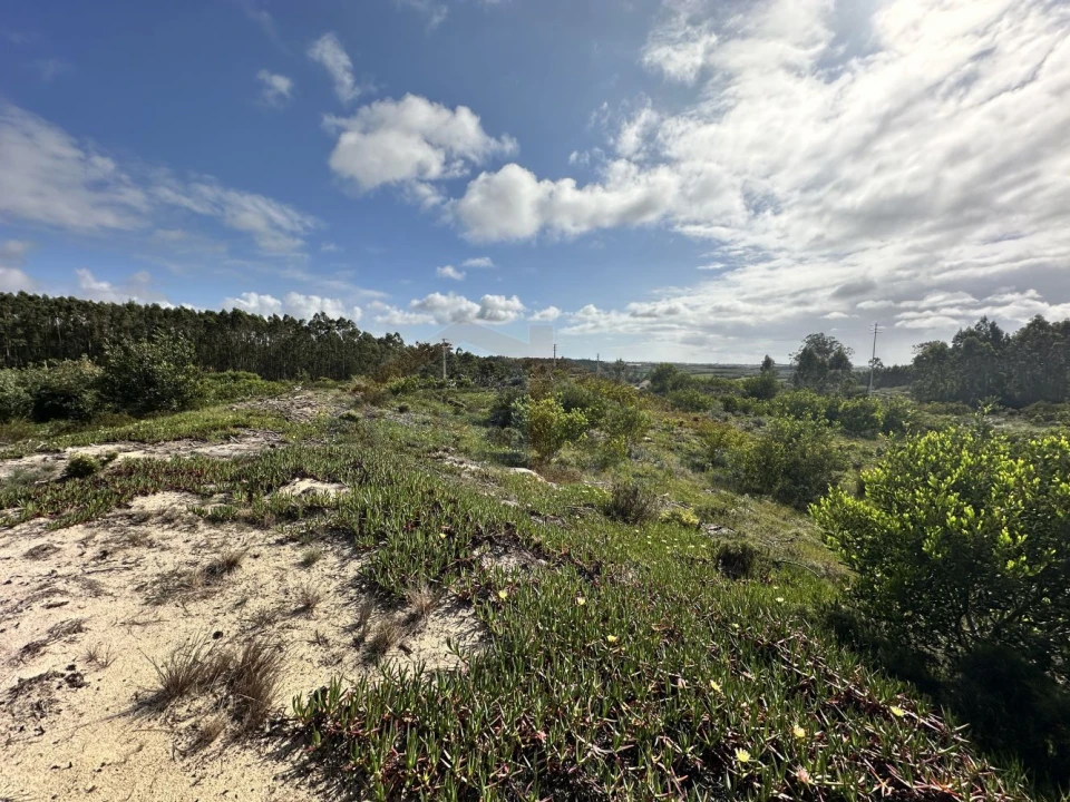 Terreno para Venda em Atouguia da Baleia Foto 14