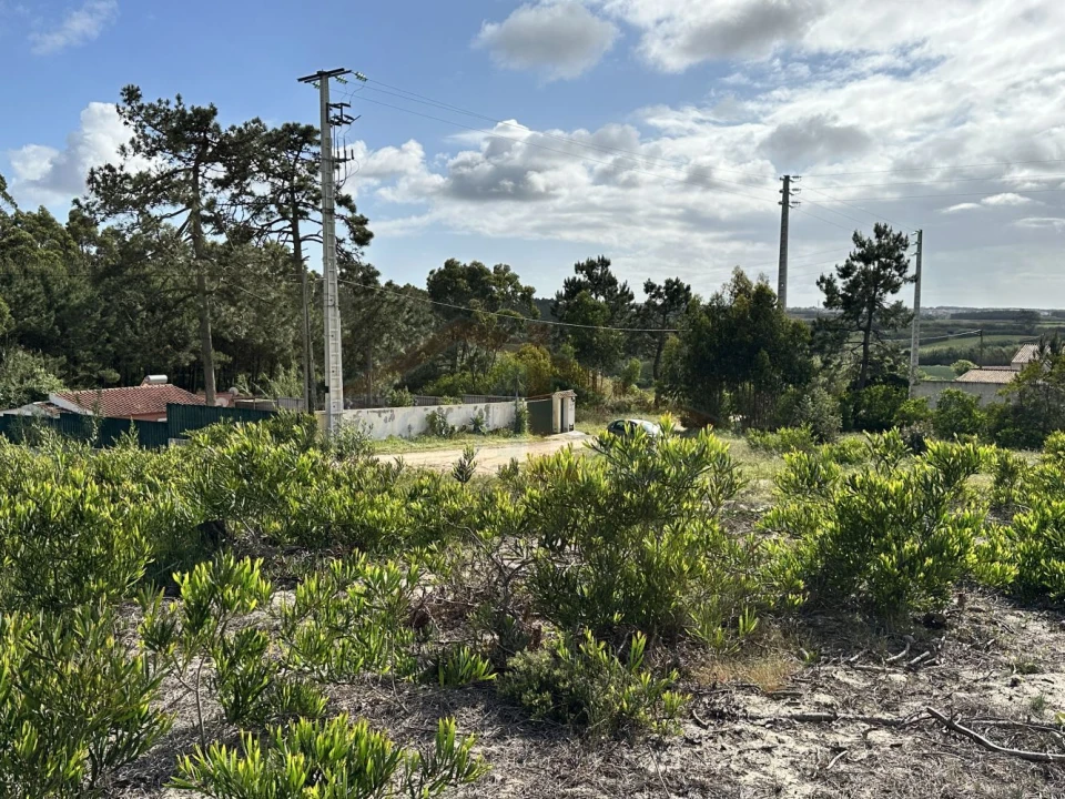 Terreno para Venda em Atouguia da Baleia Foto 16