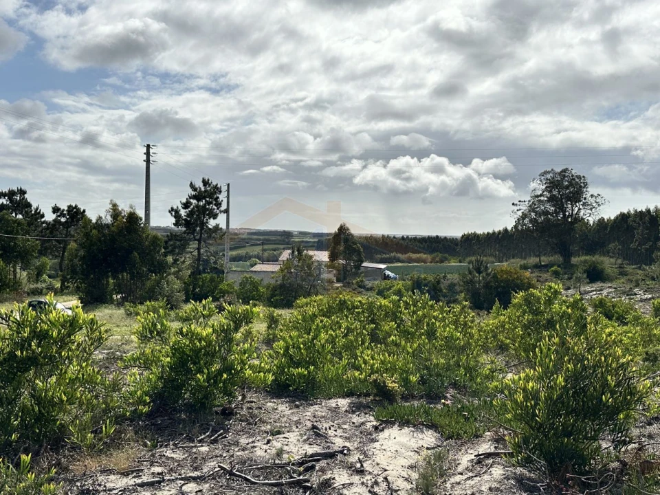 Terreno para Venda em Atouguia da Baleia Foto 17