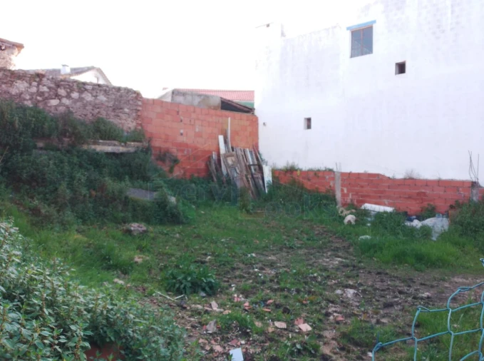 Moradia T1 para Venda em Olho Marinho Foto 6