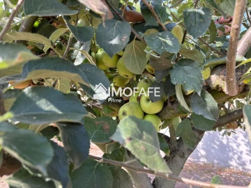 Moradia T3 para Venda em Cepães e Fareja