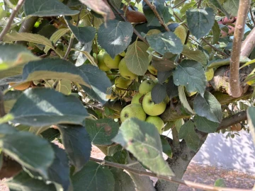 Moradia T3 para Venda em Cepães e Fareja