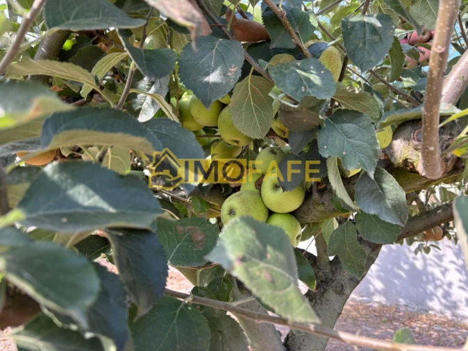 Moradia T3 para Venda em Cepães e Fareja Foto 14