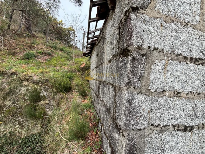 Moradia T0 para Venda em Moreira do Rei e Várzea Cova Foto 7