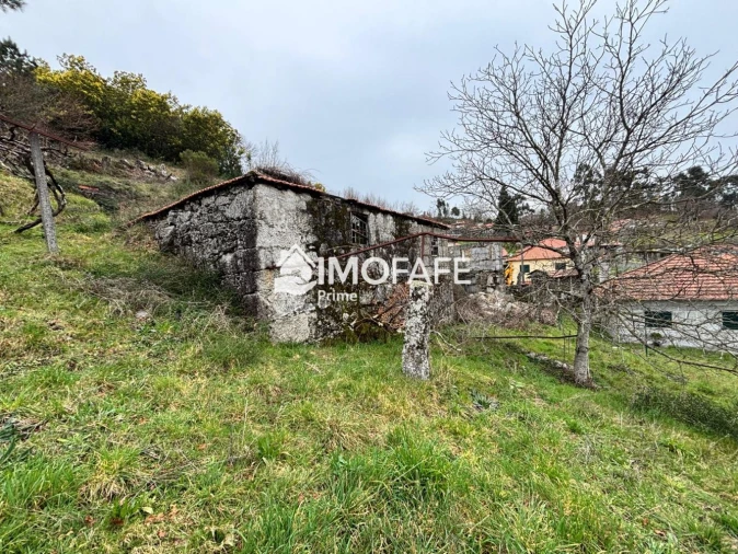 Moradia T0 para Venda em Moreira do Rei e Várzea Cova Foto 4