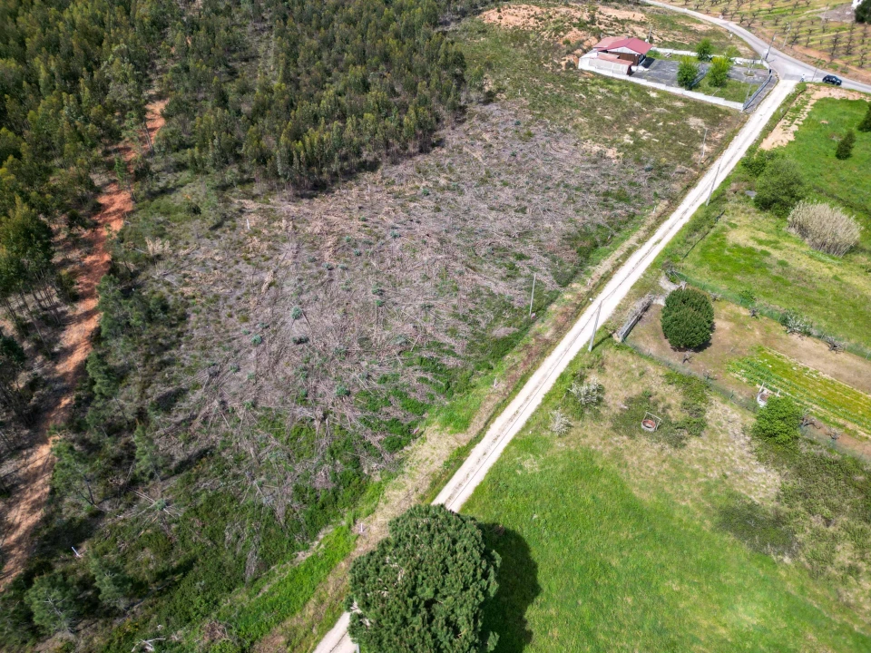 Terreno para Venda em Campelos e Outeiro da Cabeça Foto 5