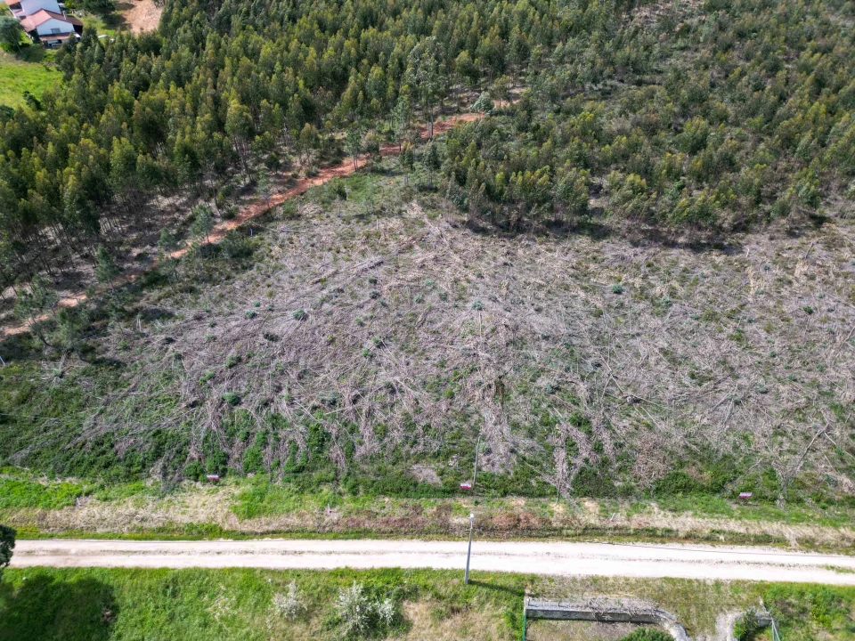 Terreno para Venda em Campelos e Outeiro da Cabeça Foto 6