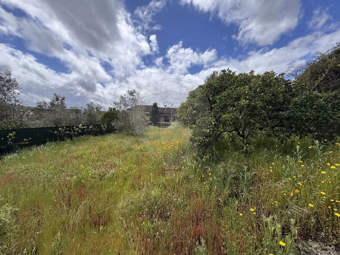Moradia T6 para Venda em Boa Aldeia, Farminhão e Torredeita Foto 40
