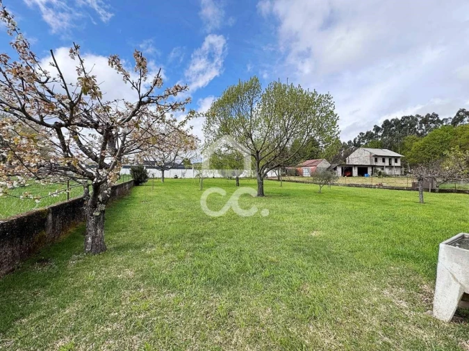 Moradia T3 para Venda em Queiriga Foto 37