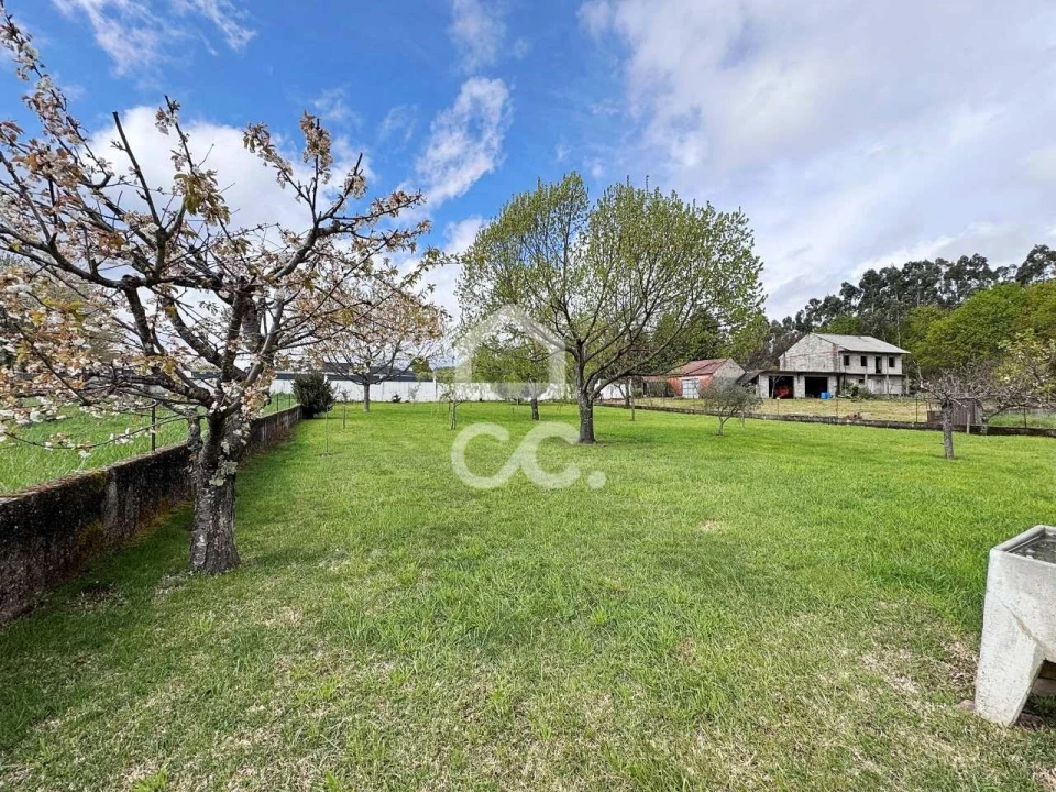 Moradia T3 para Venda em Queiriga Foto 37