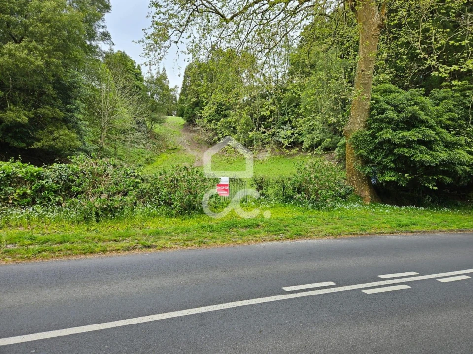 Terreno para Venda em Furnas Foto 6