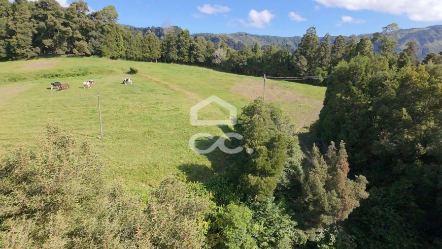 Terreno para Venda em Furnas Foto 2