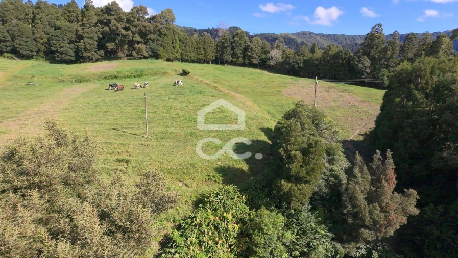 Terreno para Venda em Furnas Foto 12