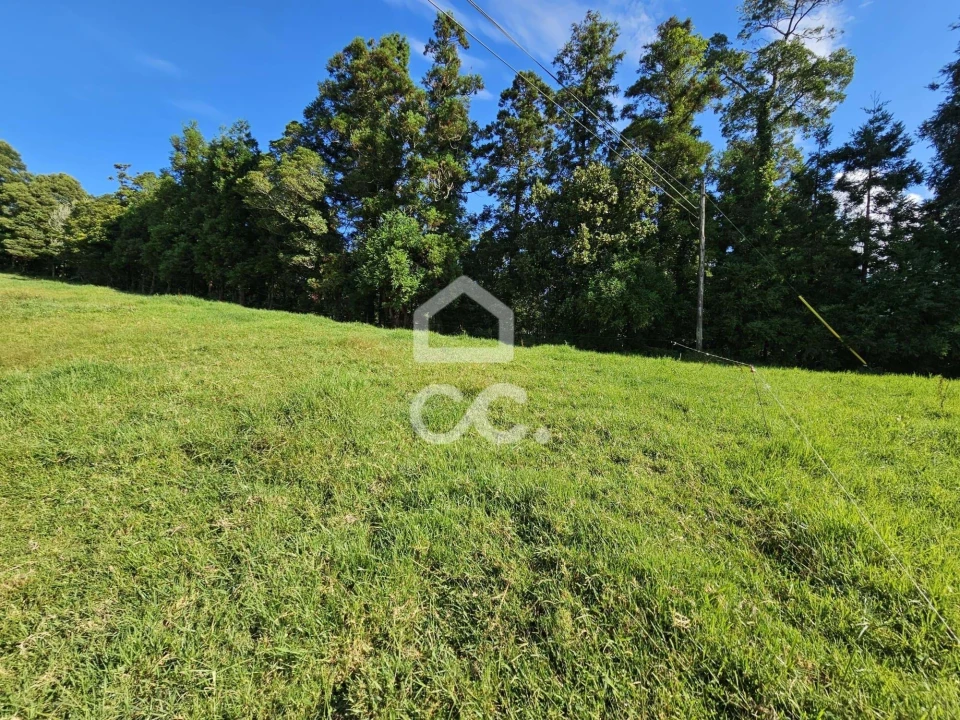 Terreno para Venda em Furnas Foto 7