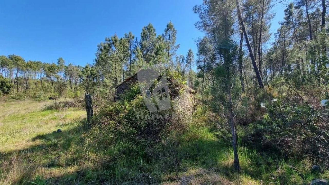 Terreno Agricola ou Rústico para Venda em Sarzedas Foto 20