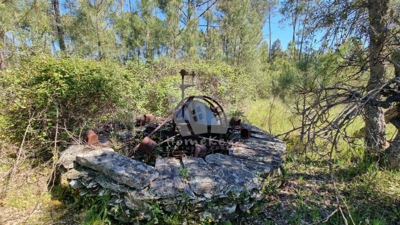 Terreno Agricola ou Rústico para Venda em Sarzedas Foto 10