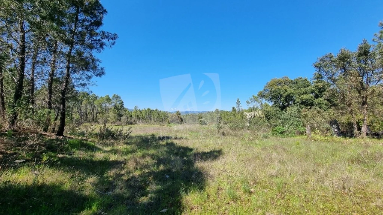 Terreno Agricola ou Rústico para Venda em Sarzedas Foto 6
