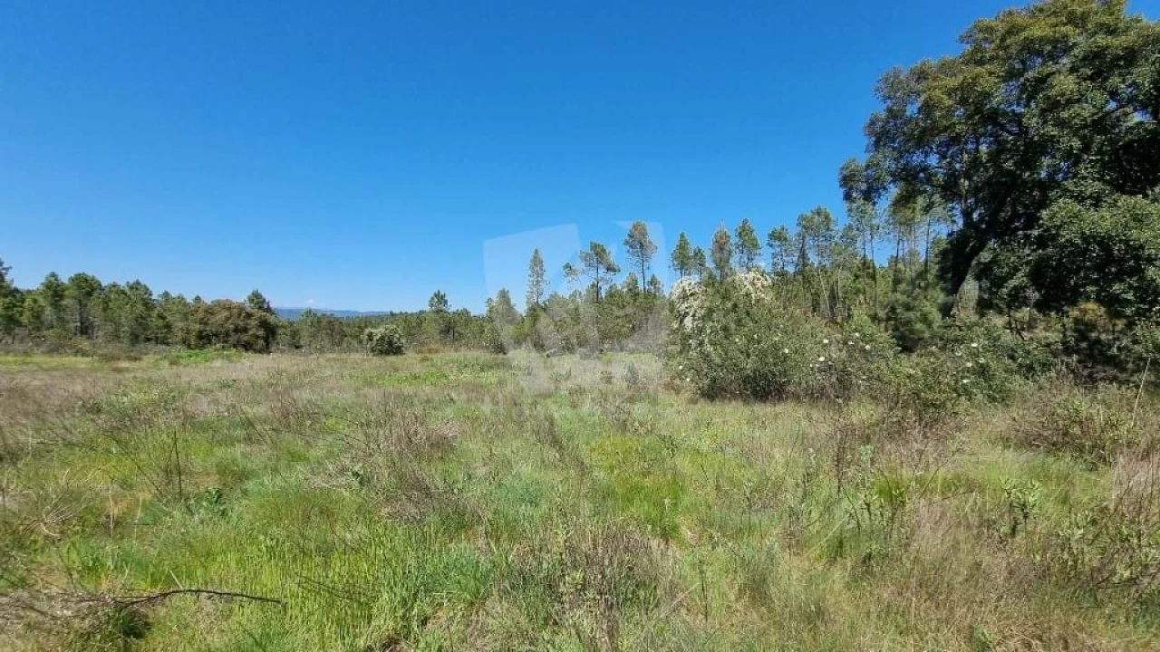 Terreno Agricola ou Rústico para Venda em Sarzedas Foto 11