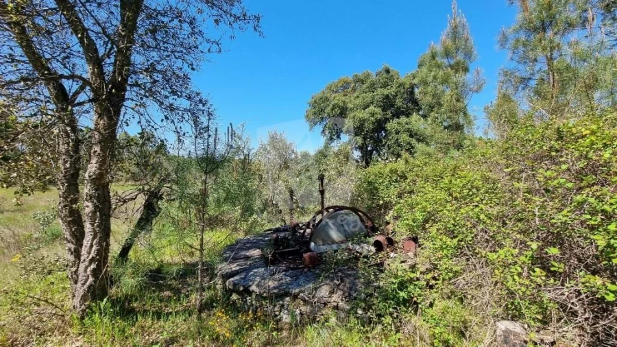 Terreno Agricola ou Rústico para Venda em Sarzedas Foto 8