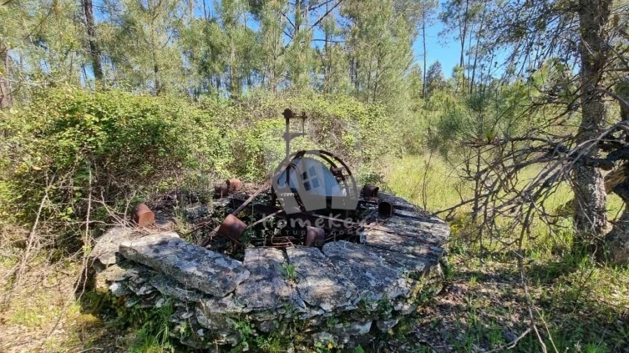 Terreno Agricola ou Rústico para Venda em Sarzedas Foto 10