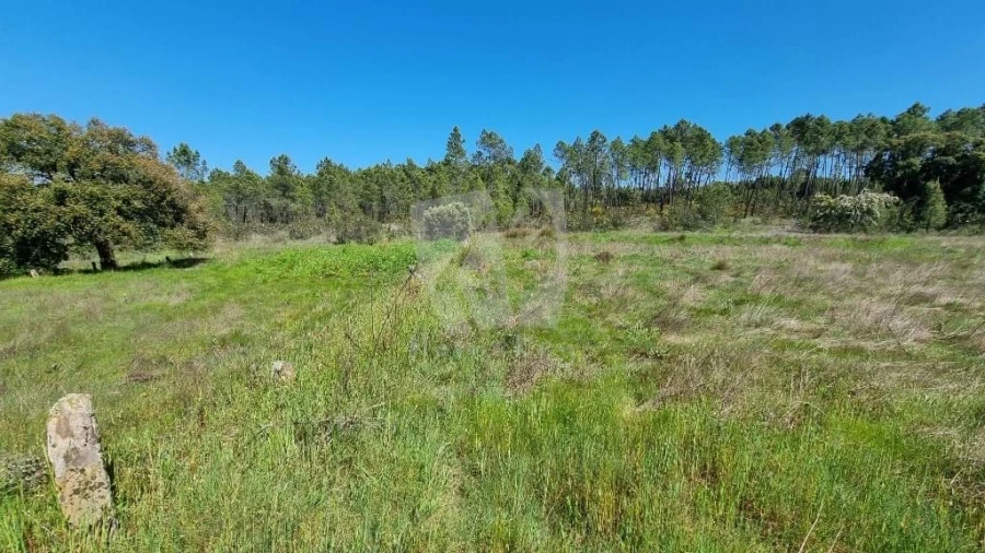 Terreno Agricola ou Rústico para Venda em Sarzedas Foto 21