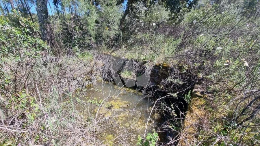 Terreno Agricola ou Rústico para Venda em Sarzedas Foto 22
